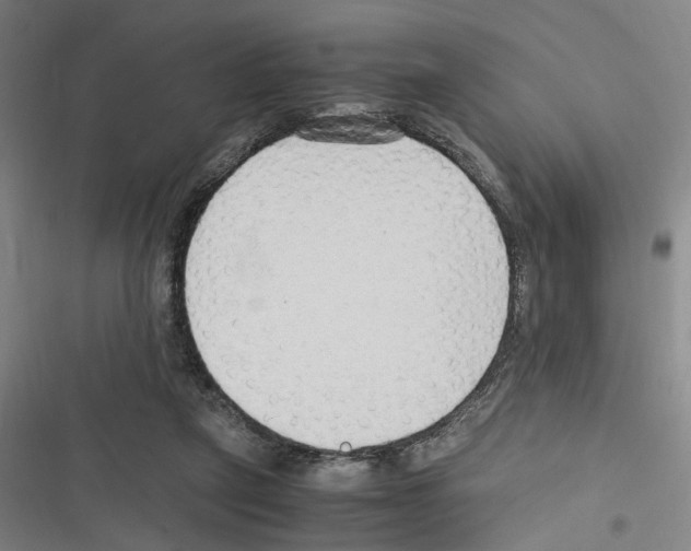 X0000116310257201001111144