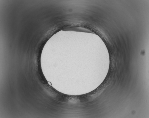 X0000116310258201001111144