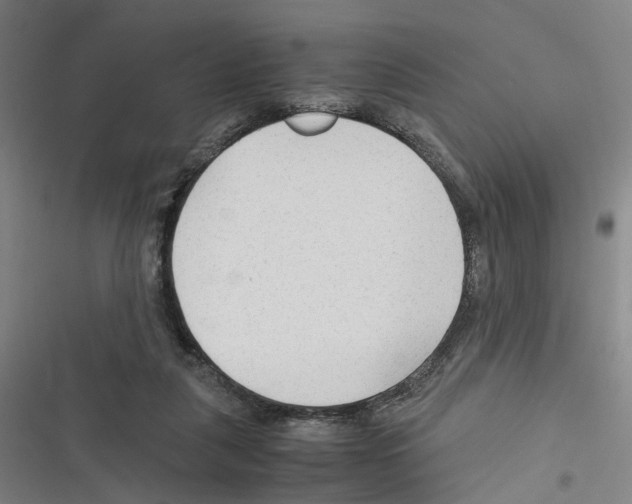 X0000116310259201001111144