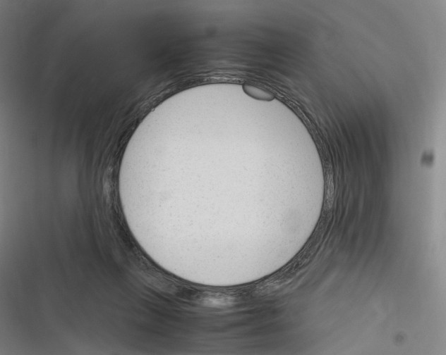 X0000116310263201001111144