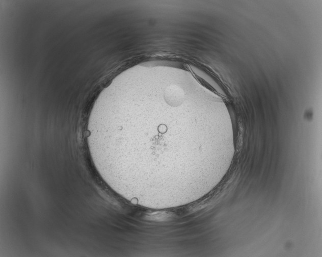 X0000116310269201001111144