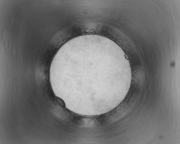 X0000116310272201001111144