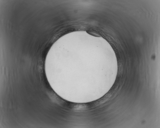 X0000116310274201001111144