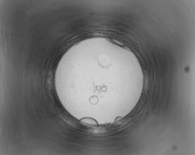 X0000116310275201001111144