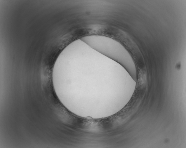 X0000116310276201001111144