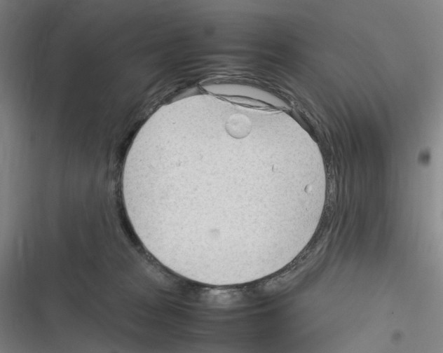 X0000116310277201001111144