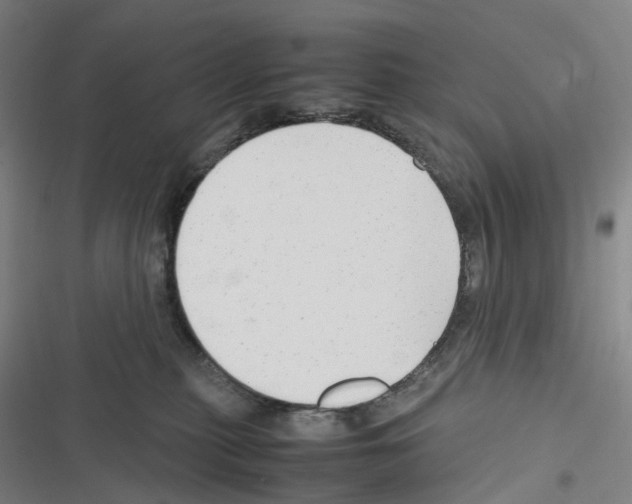 X0000116310279201001111145