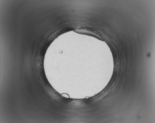 X0000116310280201001111145