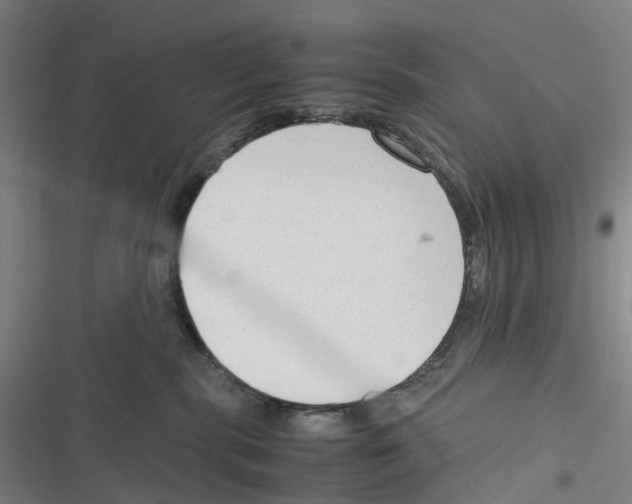 X0000116310283201001111145