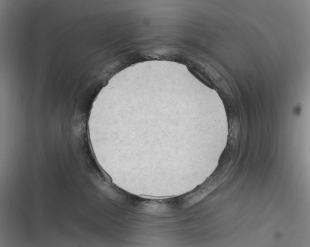 X0000116310284201001111145