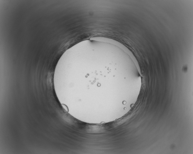 X0000116310286201001111145