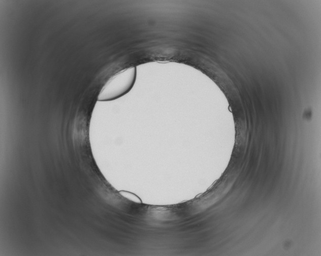 X0000116310287201001111145