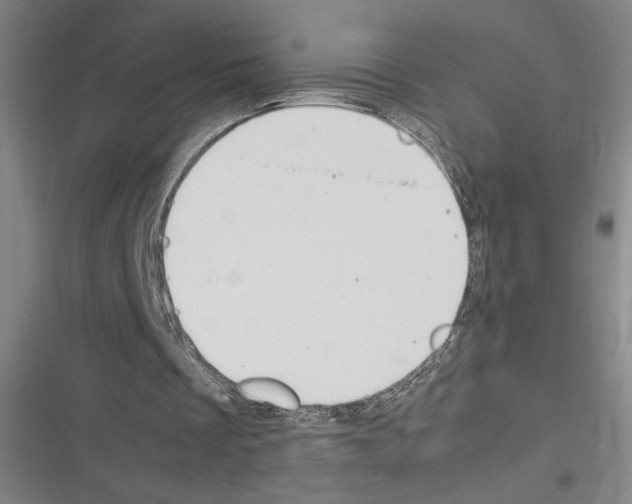 X0000116310289201001111144