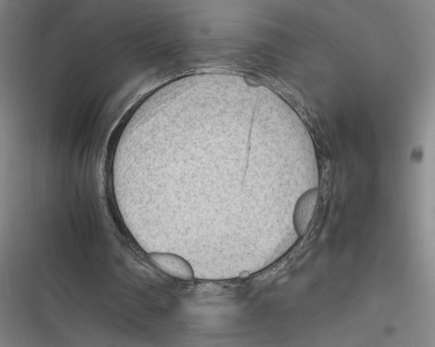 X0000116310290201001111144