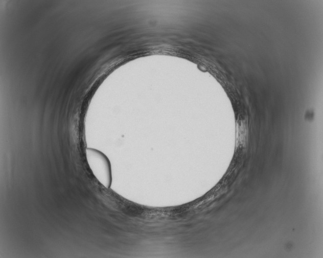 X0000116310291201001111144