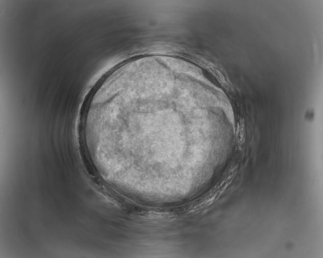 X0000116310292201001111144