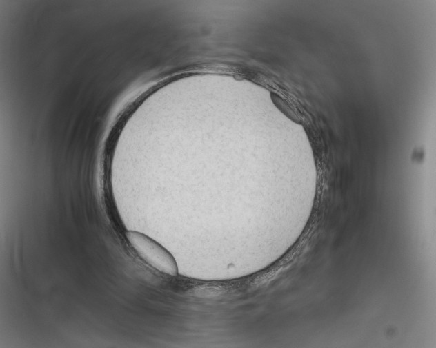 X0000116310294201001111144