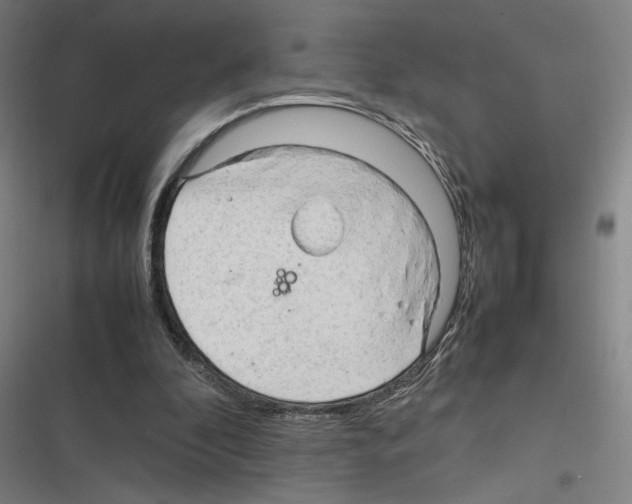 X0000116310296201001111144