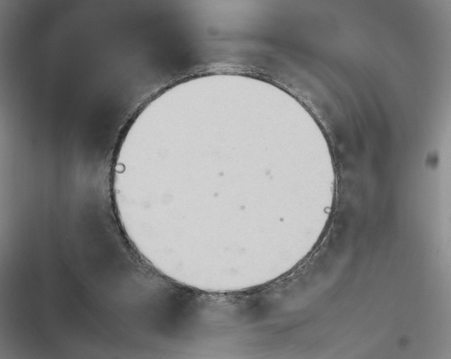 X0000116310297201001111144