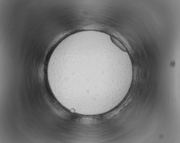 X0000116310298201001111144