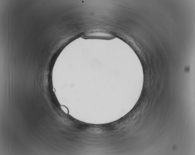 X0000116310299201001111144