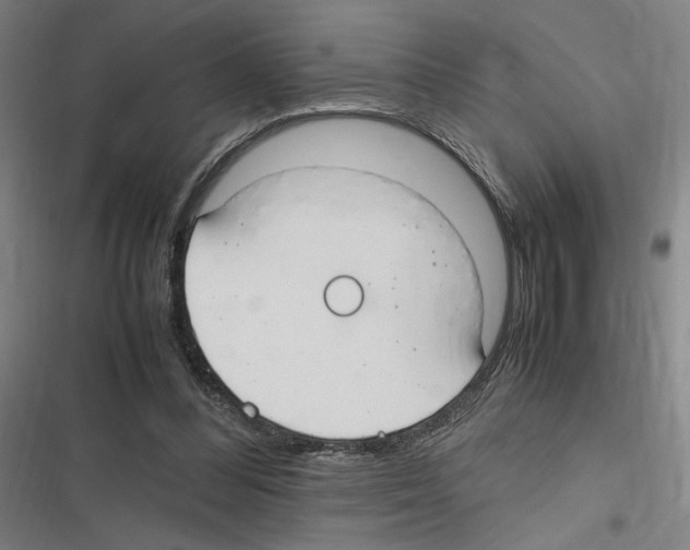 X0000116310300201001111144