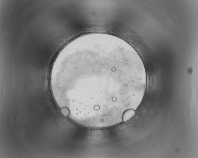 X0000116310301201001111144