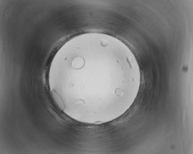 X0000116310302201001111144