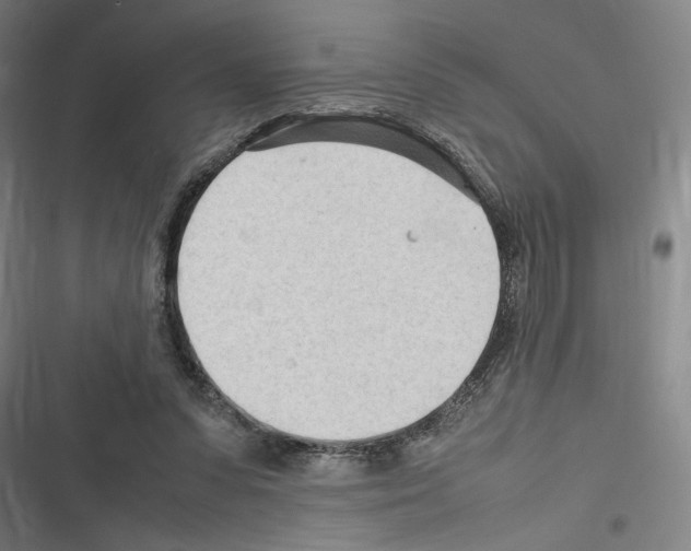 X0000116310303201001111144