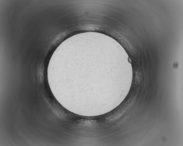 X0000116310304201001111144