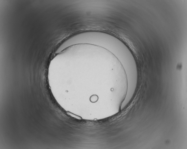 X0000116310305201001111144