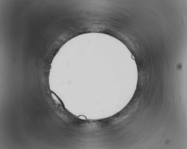 X0000116310307201001111144