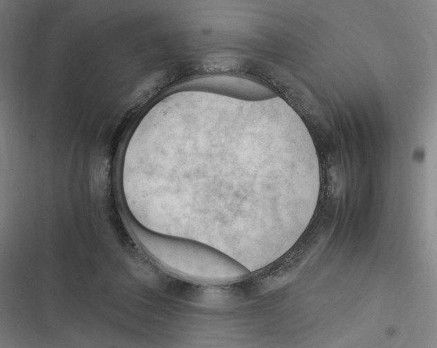 X0000116310308201001111144