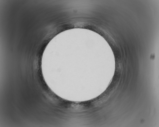 X0000116310311201001111144