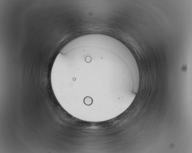 X0000116310312201001111144