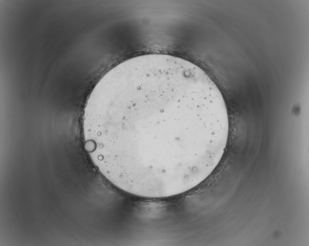 X0000116310313201001111144