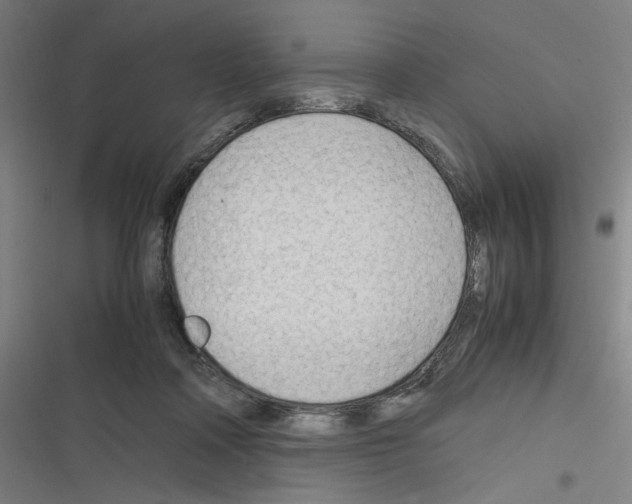 X0000116310314201001111144