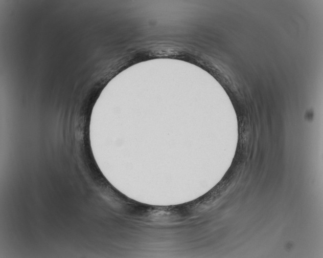 X0000116310315201001111144