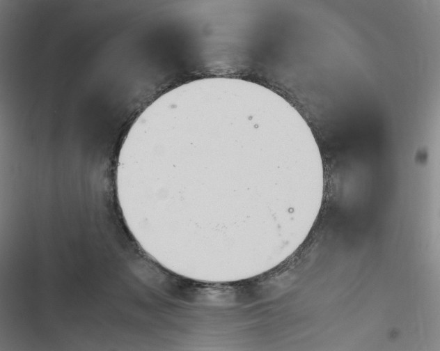 X0000116310317201001111144