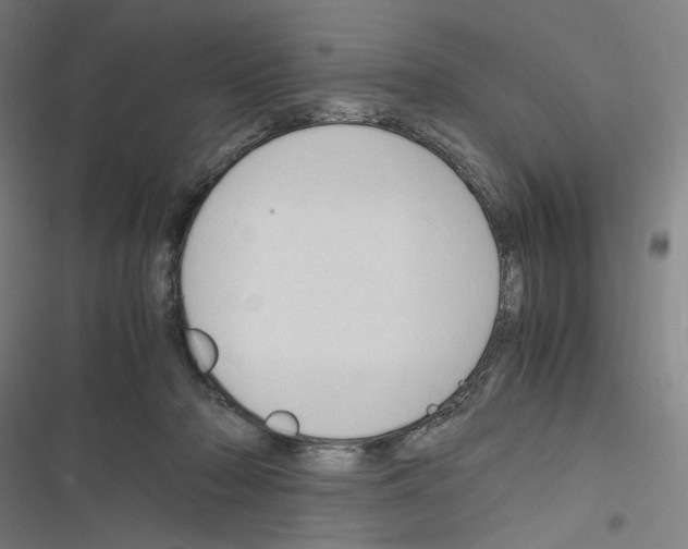 X0000116310318201001111144