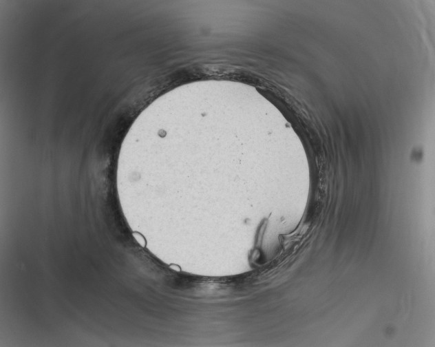 X0000116310319201001111144