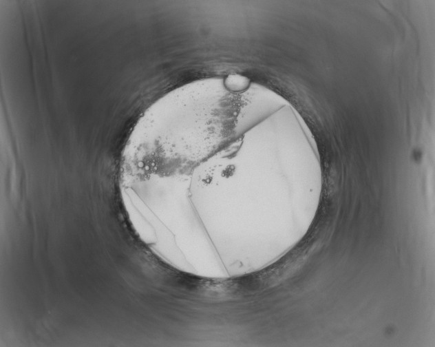 X0000116310321201001111144