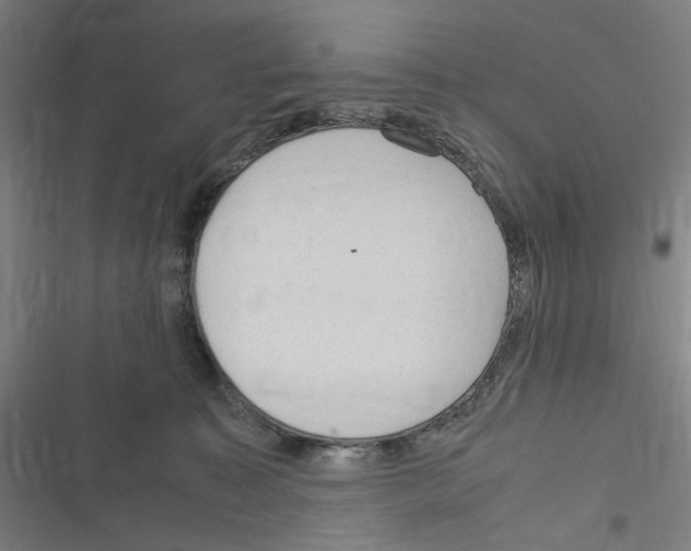 X0000116310323201001111144