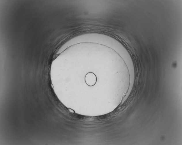 X0000116310325201001111143