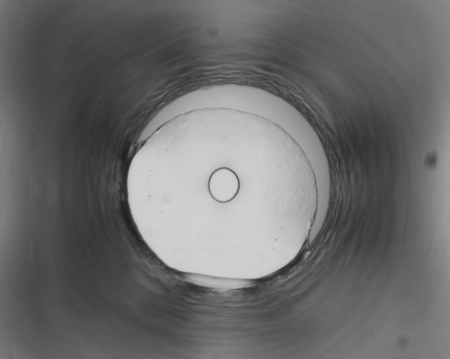 X0000116310328201001111143