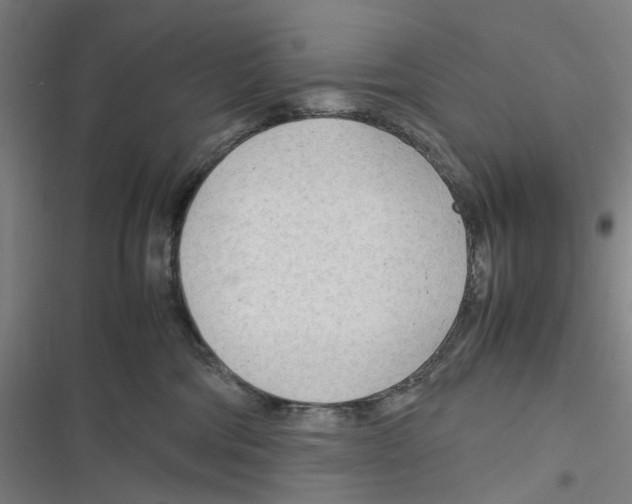 X0000116310330201001111143