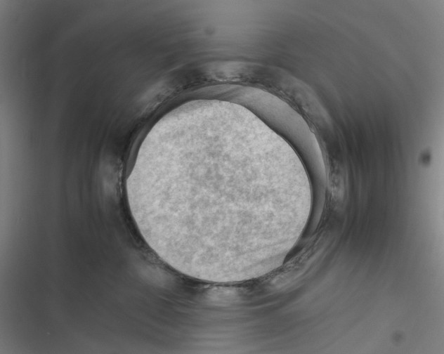 X0000116310332201001111143