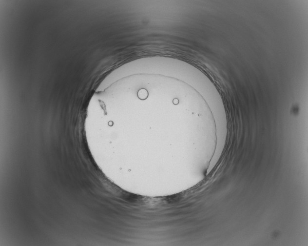 X0000116310333201001111143