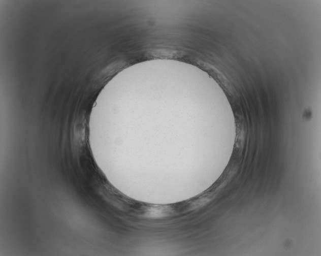 X0000116310334201001111143