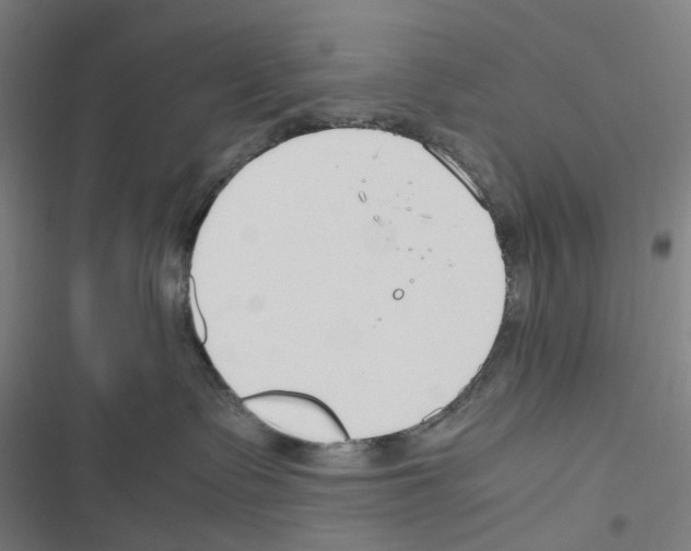 X0000116310335201001111143